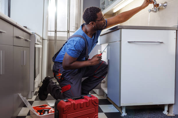 Best Plumbing Inspection Services  in Mills River, NC